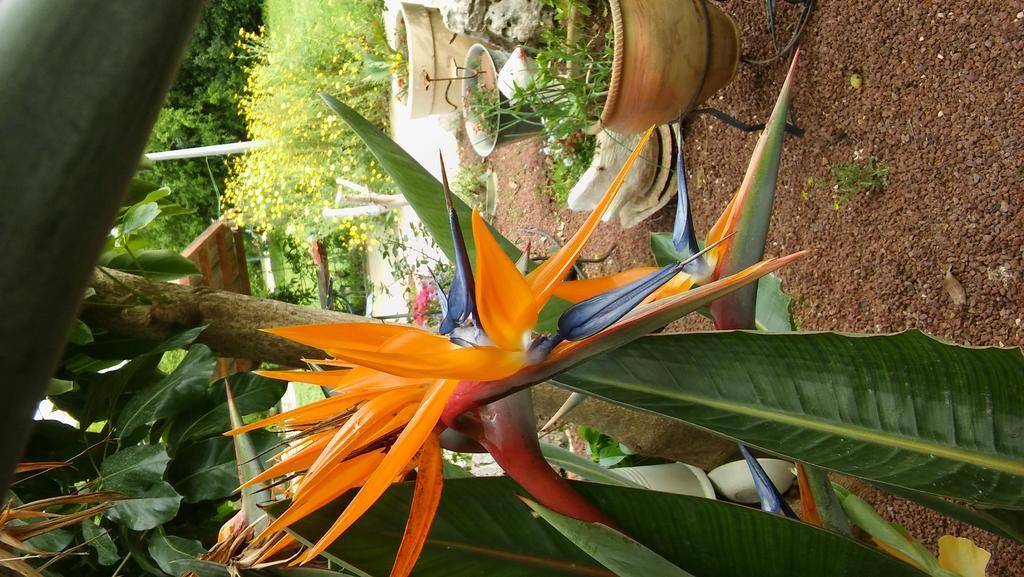 Brush And Wind Villa Hagoshrim ภายนอก รูปภาพ