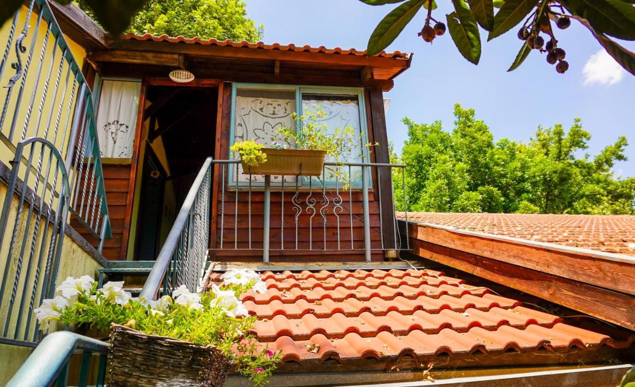 Brush And Wind Villa Hagoshrim ภายนอก รูปภาพ
